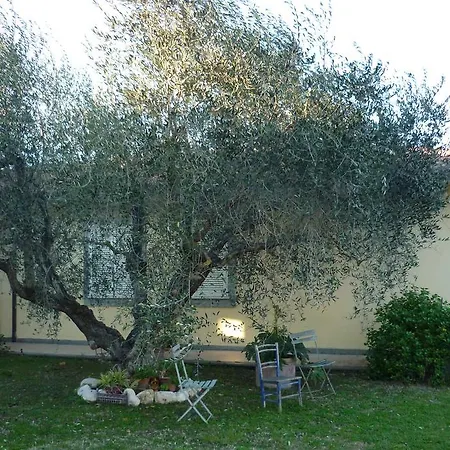 B&B Alle Terme-3